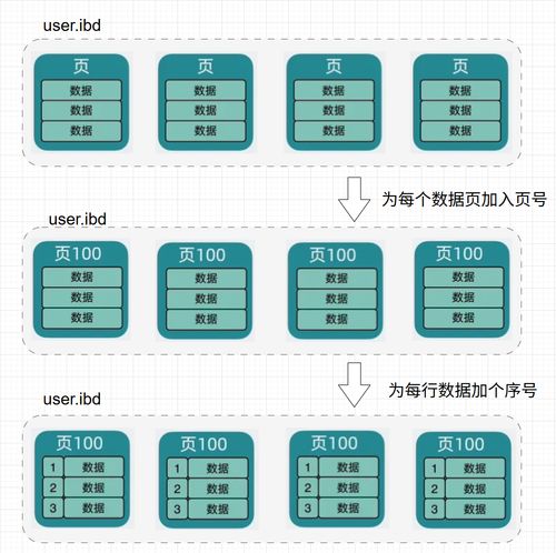 MySQL架構(gòu)揭秘 從數(shù)據(jù)存儲到高效查詢的奧秘